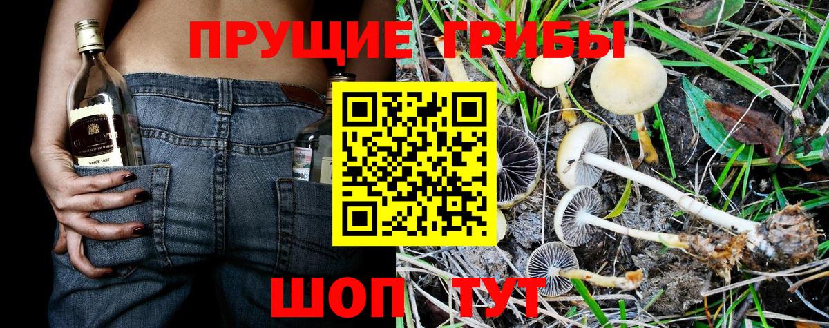 Галлюциногенные грибы Cubensis Нурлат